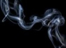 Kwikfynd Drain Smoke Testing
rochestersa